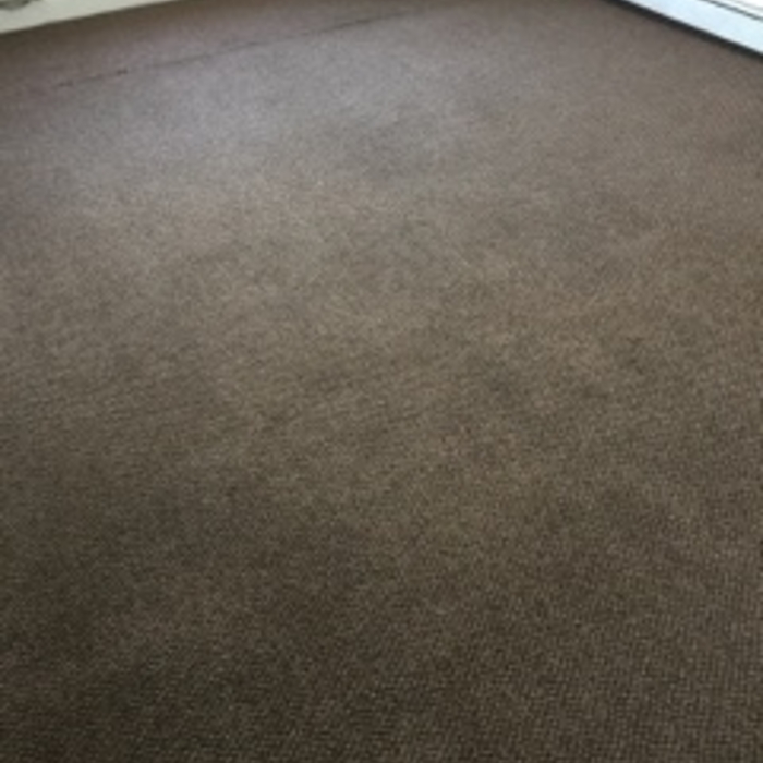 Carpet Cleaning