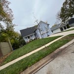 Leaf Removal Project