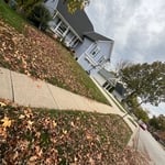 Leaf Removal Project