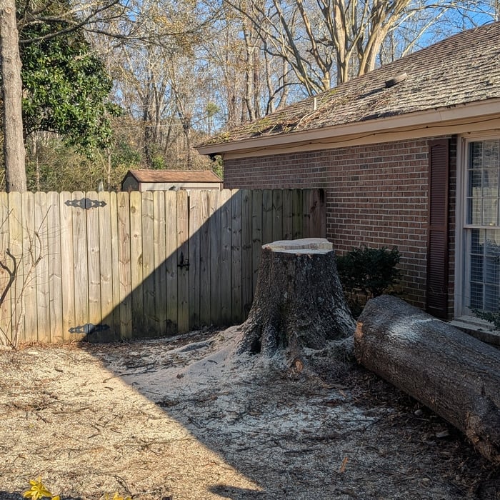 Tree Service Project