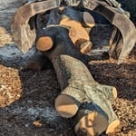 Tree Service Project