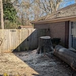 Tree Service Project