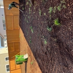 Landscaping Project