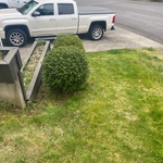 Clean up