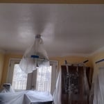 Painting - Interior Project and LVP floor