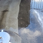 Pressure Washing Project