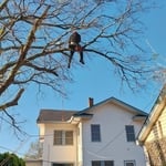 Just hanging around.