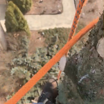 Tree Service Project