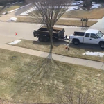 Tree Service Project