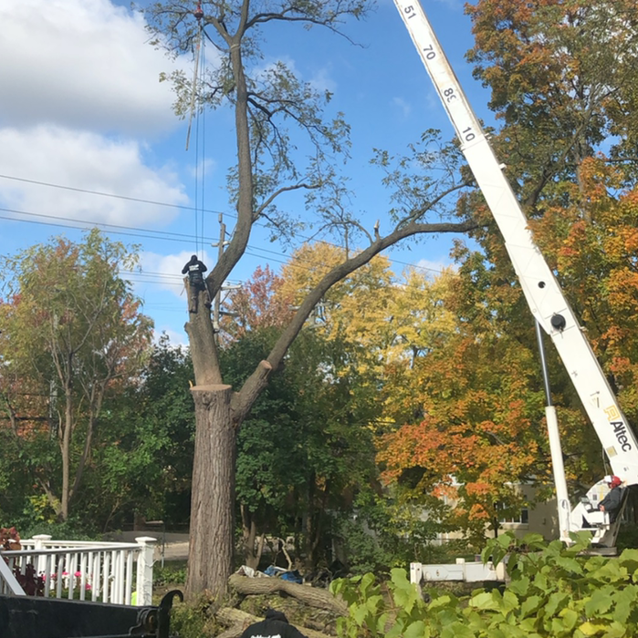 Additional Photos