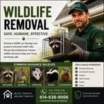 Wildlife removal