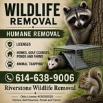 Wildlife Removal