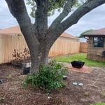 Fencing Project