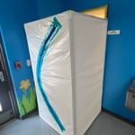Mold Remediation Project