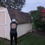 Shed demo/ removal