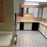 complete cabinet painting
