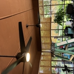 Sunroom ceiling fans
