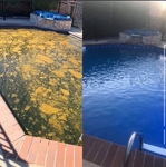 Green to clean