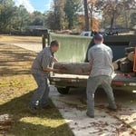 Yard Debris Removal