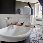 View out the window from the claw-foot tub. Deep gray paint on the walls above the wainscoting.