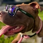 We are ready to help your HVAC and Plumbing needs!