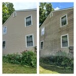 Pressure Washing Project