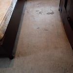Before - 1 Bedroom Carpet Cleaning