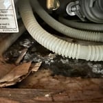 Mold Testing & Remediation Project