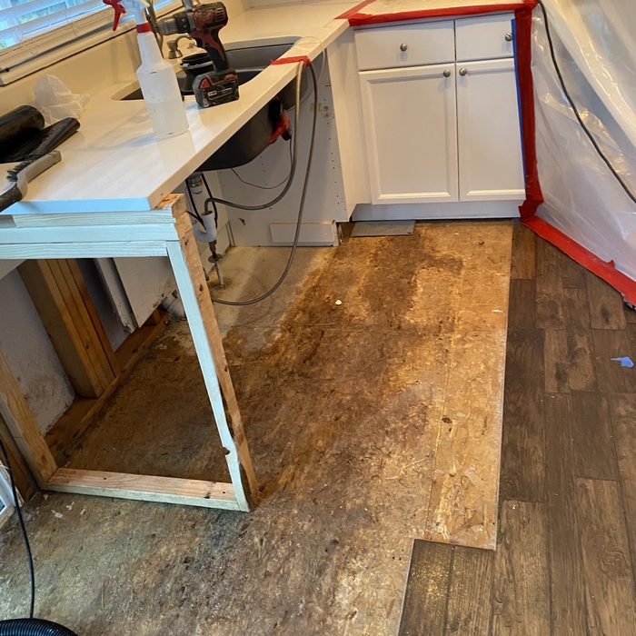 Mold Testing & Remediation Project