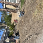 Before & After Front Yard