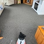 House project