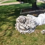 Bald -faced hornets' removal