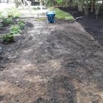 Lawn Restoration