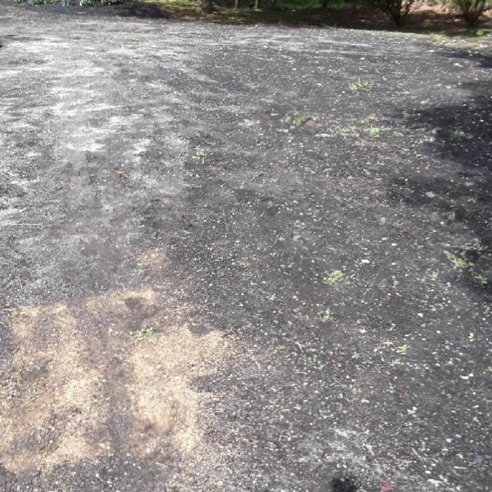 Lawn Restoration