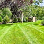 Job was finished and Lawn was fertilized and mowed
