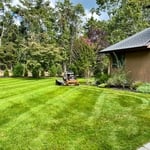 Lawn Restoration