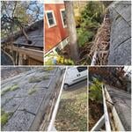 Gutter Cleaning