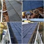 Gutter Cleaning