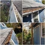 Gutter Cleaning