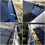 Gutter Cleaning