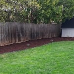 Reinemann