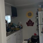 House Cleaning Project
