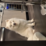 Housecleaning Project