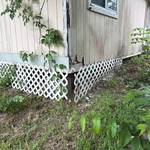 Shed Exterior Renovation