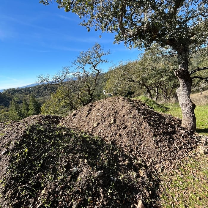 Dirt pile