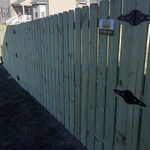 left front run from outside the fence