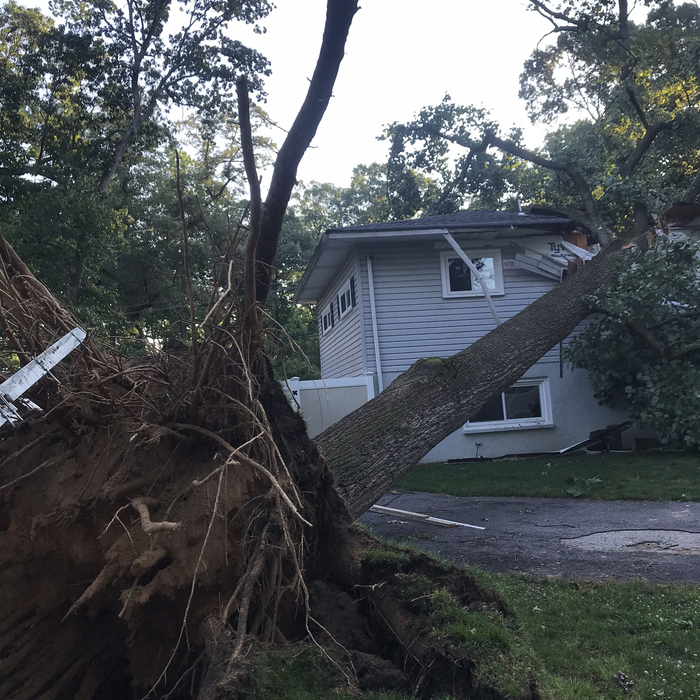 Additional Photos
