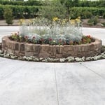 Raised Planter