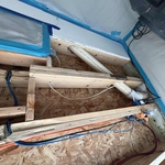 Demo and mold removal