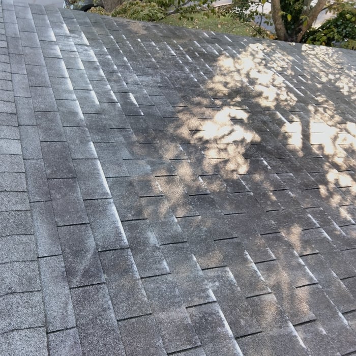 Shingle roof Before